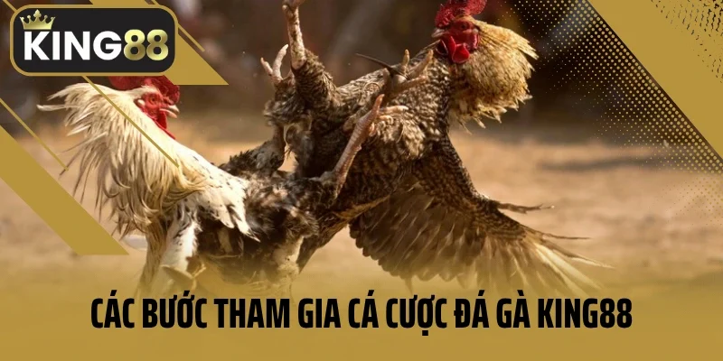 Các bước tham gia cá cược đá gà King88