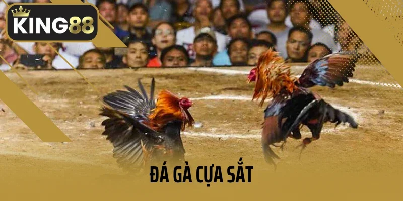 Đá Gà Cựa Sắt