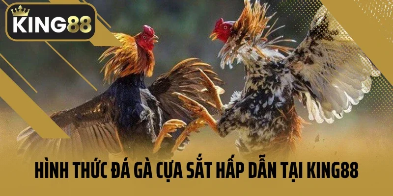 Hình thức đá gà cựa sắt siêu hấp dẫn tại King88